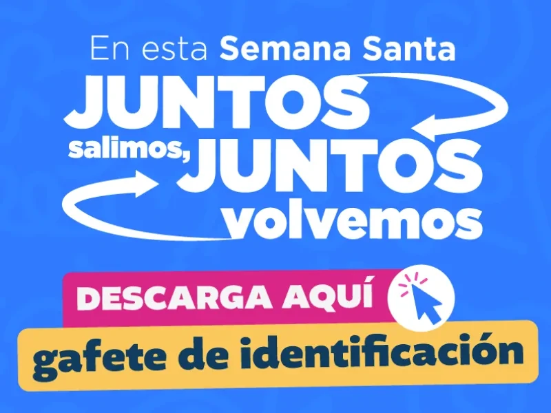 regresa a casa