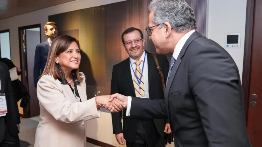 Década Internacional de las Ciencias para el Desarrollo Sostenible