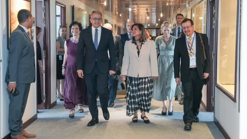 Década Internacional de las Ciencias para el Desarrollo Sostenible