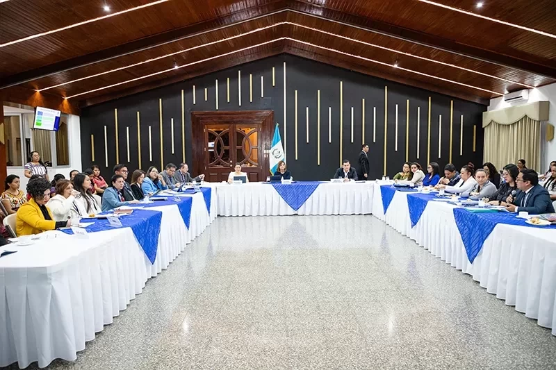 Vicepresidenta electa en la Reunión técnica del Gabinete Específico de Desarrollo Social
