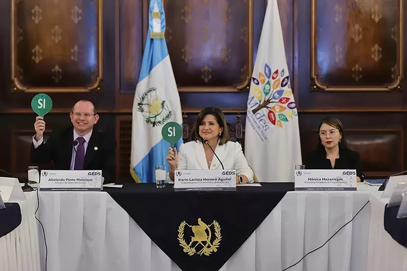 Vicepresidenta preside reunión extraordinaria del GEDS