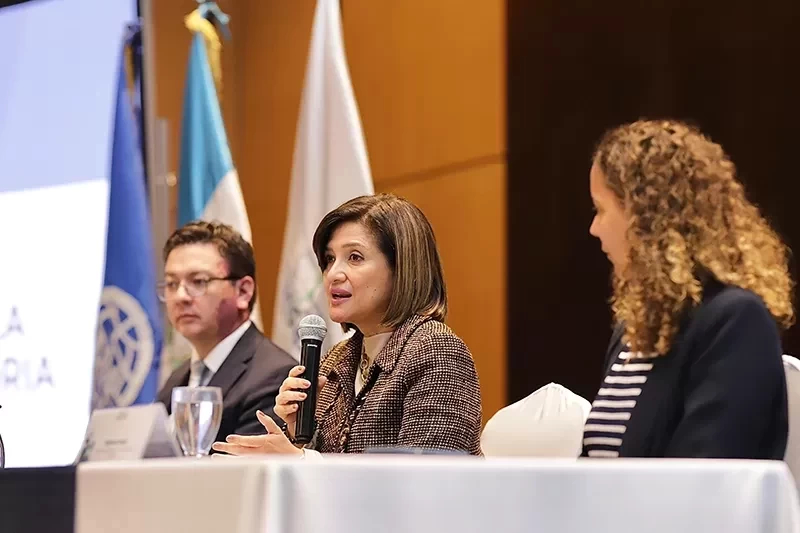 Vicepresidenta llama a fortalecer el Estado en materia de migración y refugio