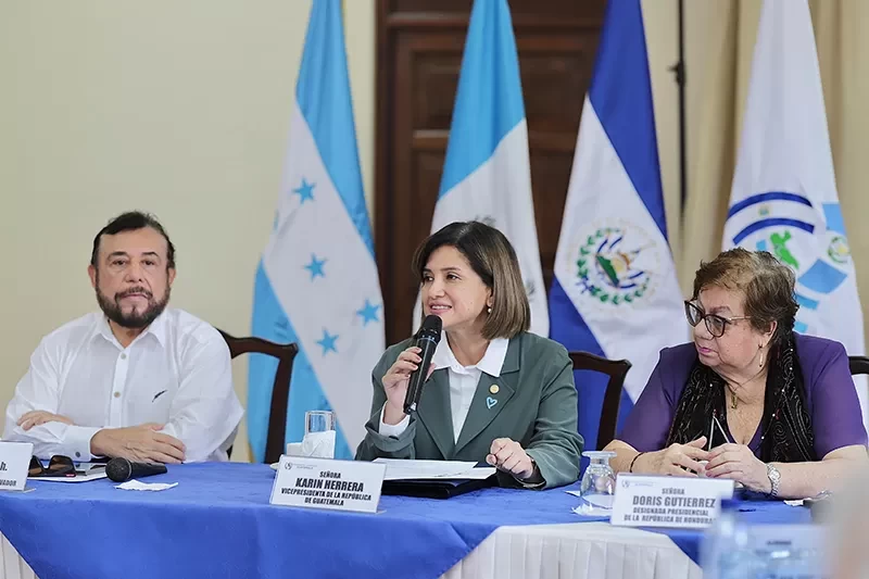 Primera reunión extraordinaria de la Comisión Trinacional del Plan Trifinio 2024
